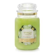 Yankee Candle LIMITED EDITION Honeydew Melon Large Jar